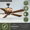 Vaxcel Yellowstone 56" Ceiling Fan Bronze FN56305BBZ - alternate 5